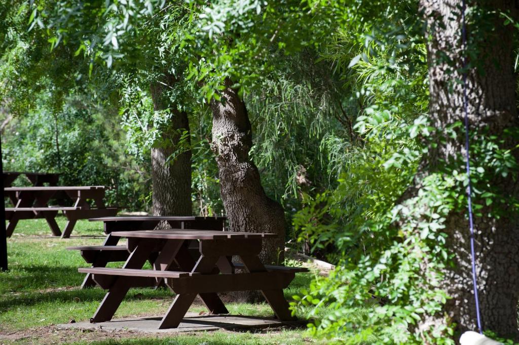 Adelaide Brownhill Creek Tourist Park Hotel Buitenkant foto