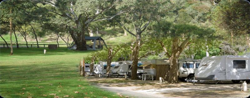 Adelaide Brownhill Creek Tourist Park Hotel Buitenkant foto